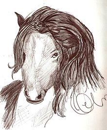 HISTORIAS PARA RECORDAR